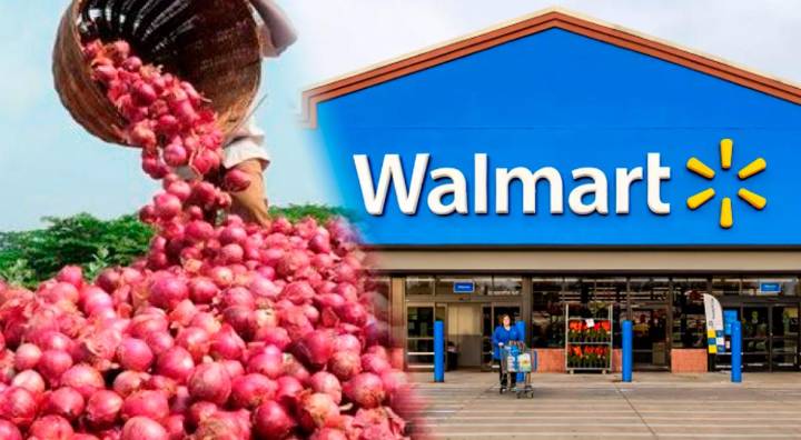 ¿En Walmart y Costco? ADEX confirma que EE. UU. se ha convertido en el principal mercado para la cebolla peruana