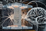 Neuronas artificiales se conectan con células vivas
