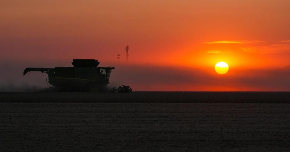 American farmers welcome China's promise to buy soybeans