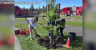 Coeur d'Alene student plants tree to honor fallen heroes