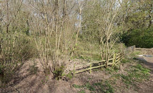 Manhunt after woman attacked in ‘serious sexual assault’ in woods