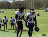 Jackson still sidelined, but Hamilton returns to practice as Ravens revamp safety group
