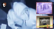¡Robo de película frente a Palacio de Gobierno! Videos muestran cómo una banda se llevó más de un millón de soles en joyas Las imágenes muestran a los delincuentes trabajando por casi dos horas dentro