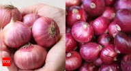 Desi vs red onion: Which Indian onion is best for reducing inflammation and boosting health
