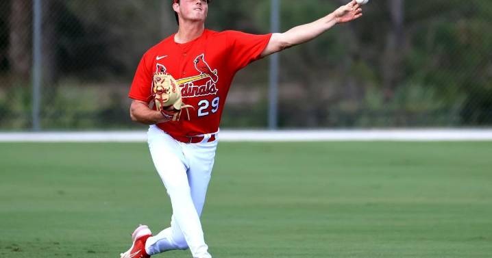 Cardinals minor league stats that stand out from 2025