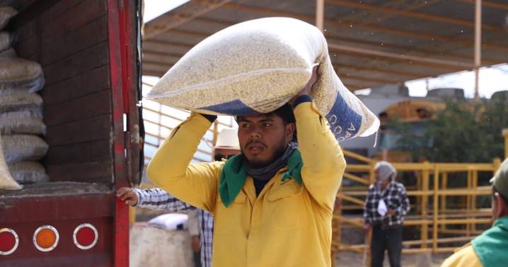 Crecieron 29% actividades primarias en Querétaro