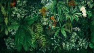 You Should Be Putting Your Humidity-Loving Houseplants In These Weird Places