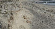 Ocean City, New Jersey, councilmembers vote to declare erosion emergency