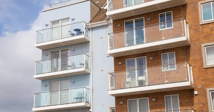 'My neighbour has disgusting habit so I took action to make it stop'