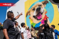 Despiden a “Chicles”, el perrito que conquistó las carreras de Tijuana