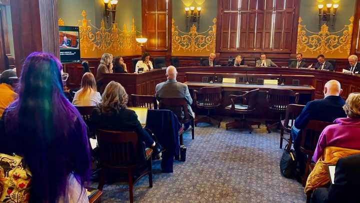 Committee Adopts Bill Greenlighting Lawsuits Over 'Sexually Explicit' Library Books