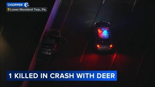 Driver killed on Pennsylvania Turnpike after striking deer in Montgomery County