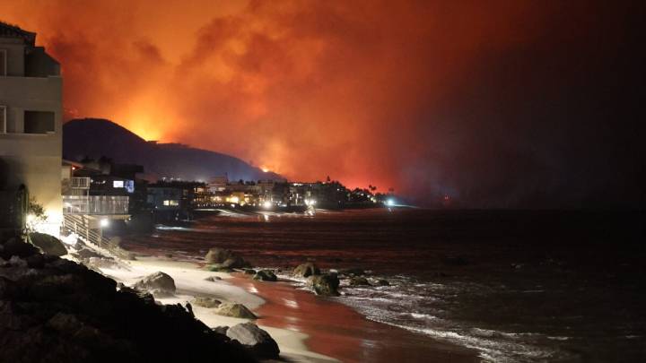 10% of Earth's Land Is at Risk of Wildfire Disaster, Study Finds