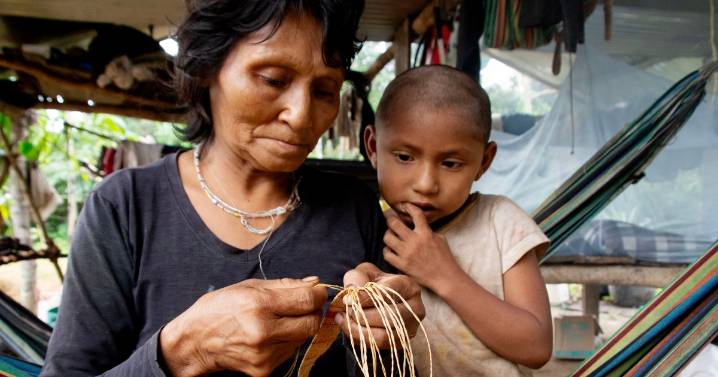‘On our own territory’: Colombia’s last nomadic tribe fights to return home