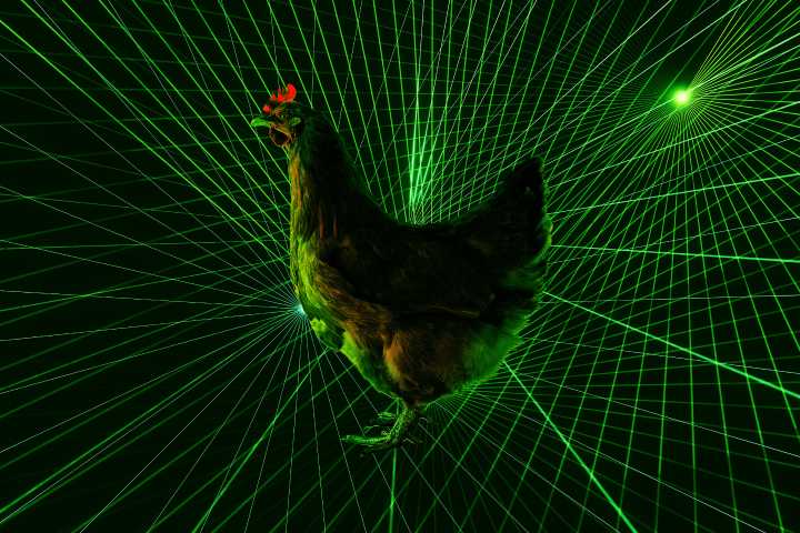 Japanese Farmers Send Out Automated Laser Drones to Defend Chickens