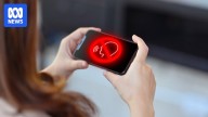 Constitutional challenge to social media ban is on the cards, and teen activists could be the key