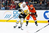 How to Watch Penguins vs Ducks: Live Stream NHL, TV Channel