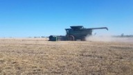 Comenzó la cosecha de trigo en el centro norte santafesino