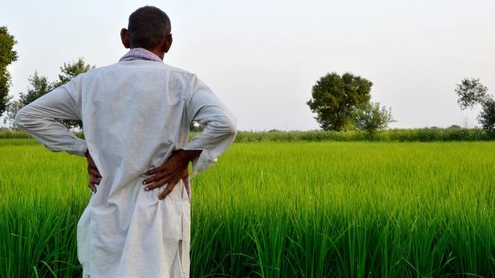 E-crop survey deadline in Maharashtra extended till November 30