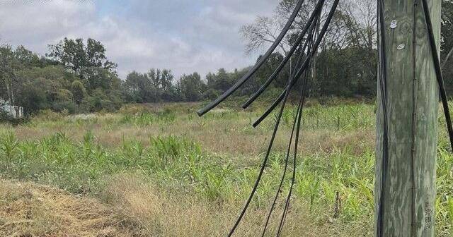 Joe Wheeler EMC offers reward after fiber line cuts in North Alabama
