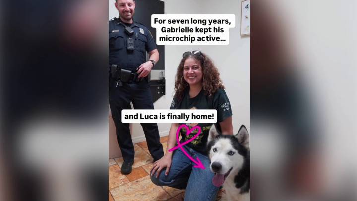 Tampa Police Department reunites joyful dog with owner after 7 years apart