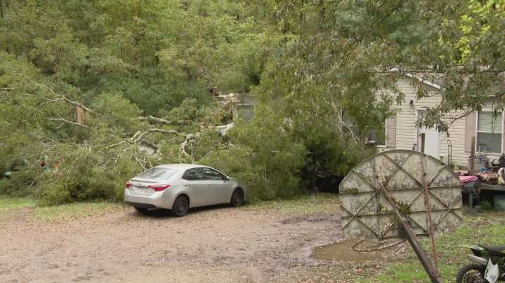 Arkansas woman dies after tree falls on home