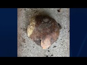 4,000-year-old human skull found along banks of Indiana's Whitewater River