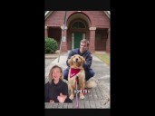 Therapy dogs visit first responders