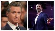 ‘He’s No Match!’: Newsom Clowned Donald Trump Jr. So Effortlessly Viewers Swore It Had to Be Personal