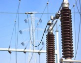 Powercom staff unite to protest Punjab govt’s plan to sell corporation’s properties