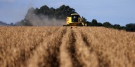 La balanza comercial arrojó un superávit de USD 900 millones en septiembre, empujada por la baja de retenciones