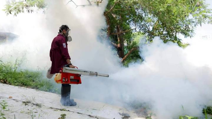 Fumigaciones y limpieza logran contener el dengue en Tamaulipas; casos van a la baja