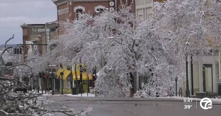 FEMA denies Michigan's appeal for more aid in aftermath of historic ice storm