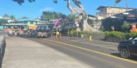 Fallen tree branch causes road closure on Hawaii Island