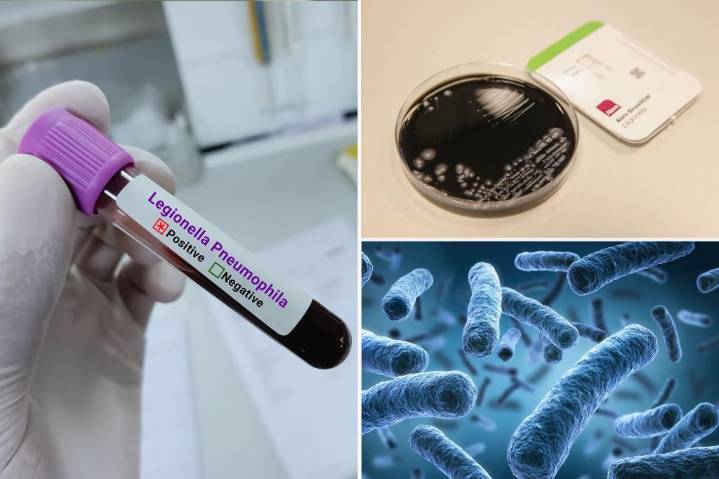 Council law boosts testing for Legionnaires' disease in `cooling towers'