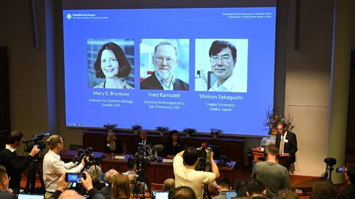 Brunkow, Ramsdell and Sakaguchi win 2025 Nobel Prize in medicine