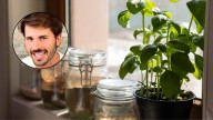 Alvaro Pedrera, experto: “Si no tenés luz natural en casa, olvidate de tener plantas”