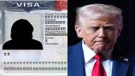 Who Is Phoenix Doe? An Indian woman cited in Trump’s $100,000 H