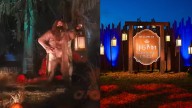 ‘Harry Potter' Forbidden Forest experience comes to Cincinnati