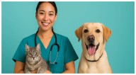 ¡Ve preparando a tu mascota! El próximo martes habrá esterilizaciones gratuitas en Valle Dorado, Bahía de Banderas