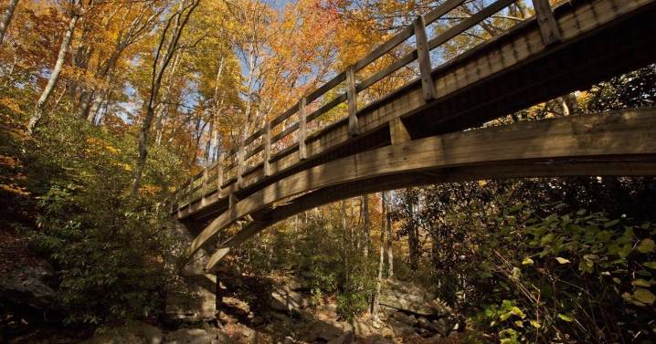 Autumn leaves are popping up. When is peak season for fall foliage in North Carolina?