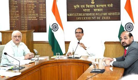 Pulses & Oilseeds: NAFED, NCCF to lead massive procurement