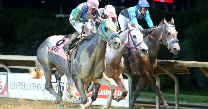 Runaldo aims for repeat in Sam Huff West Virginia Breeders' Classics