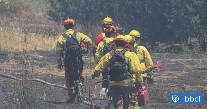 Araucanía: autoridades dan a conocer plan para enfrentar incendios forestales en temporada 2025