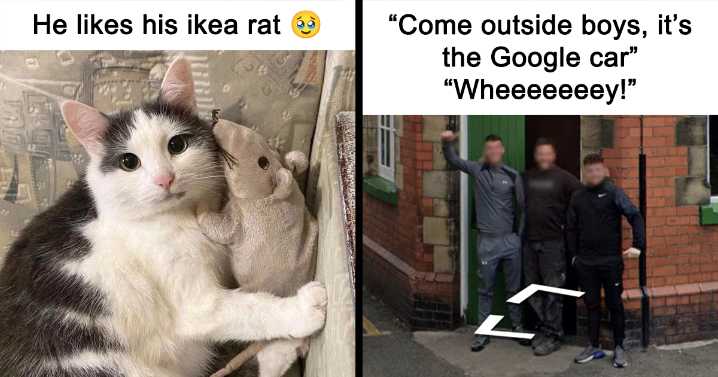 The World May Be Negative Sometimes, So Here Are 29 Adorable Tweets That May Bring Some Joy