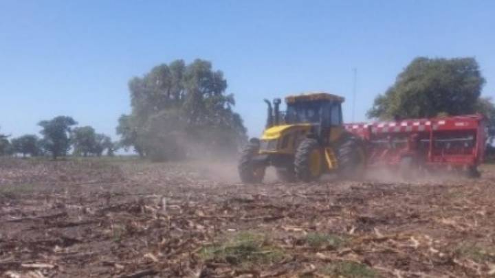 La siembra de maíz avanza en la región núcleo