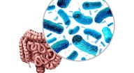 Cuatro formas científicas de cuidar nuestra microbiota intestinal