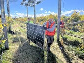 Solar panels go up at Grand Junction vineyard