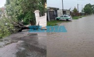 EN FOTOS | Árboles caídos, calles anegadas y cortes de luz: así la tormenta afectó a La Plata