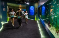 Runners, walkers kick off marathon weekend with Aquarium of the Pacific 5K